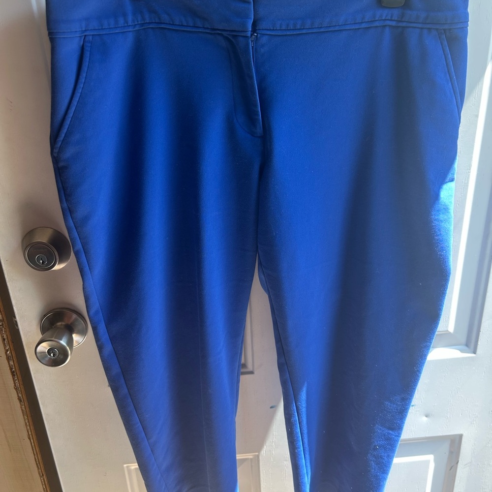 Apt. 9 Cobalt Blue Capri Pants